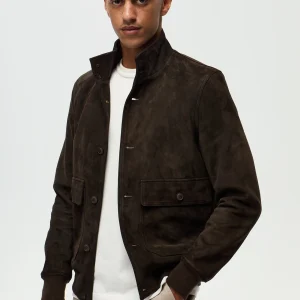 HELMUT - Marron Truffe